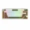 ROYAL KLUDGE RK L75 Hot Swappable Tri Mode Mechanical Gaming Keyboard