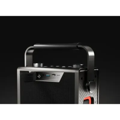 HiFuture MusicSoul 200 Portable Bluetooth Speaker