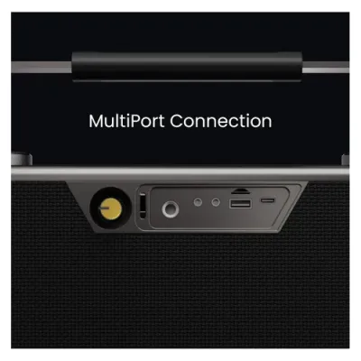 HiFuture MusicSoul 300 Portable Bluetooth Speaker